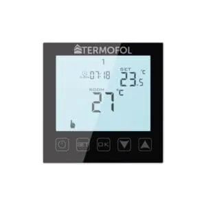 Welcher Thermostat