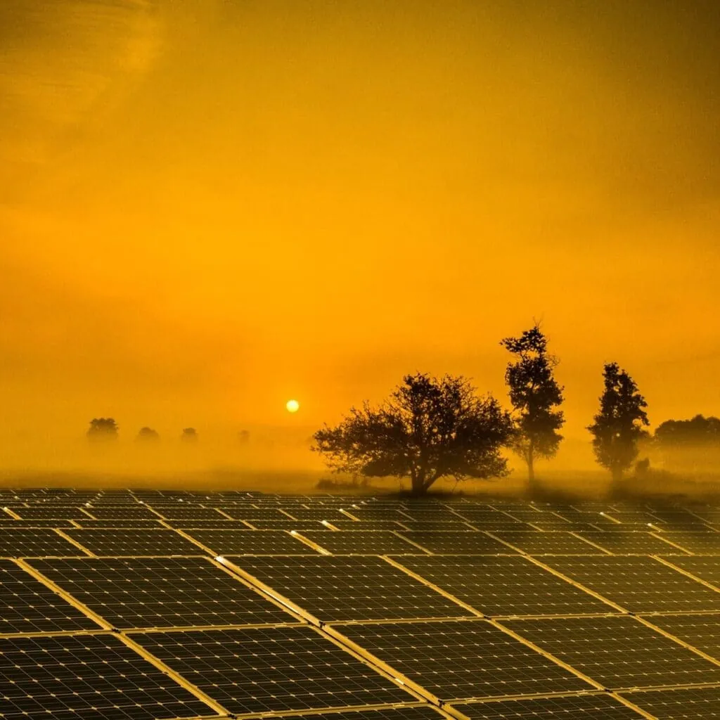 Modul und PV-Panel – was ist das und wie funktioniert es?